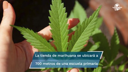 Canadá tendrá la primera tienda de marihuana del mundo dentro de una universidad