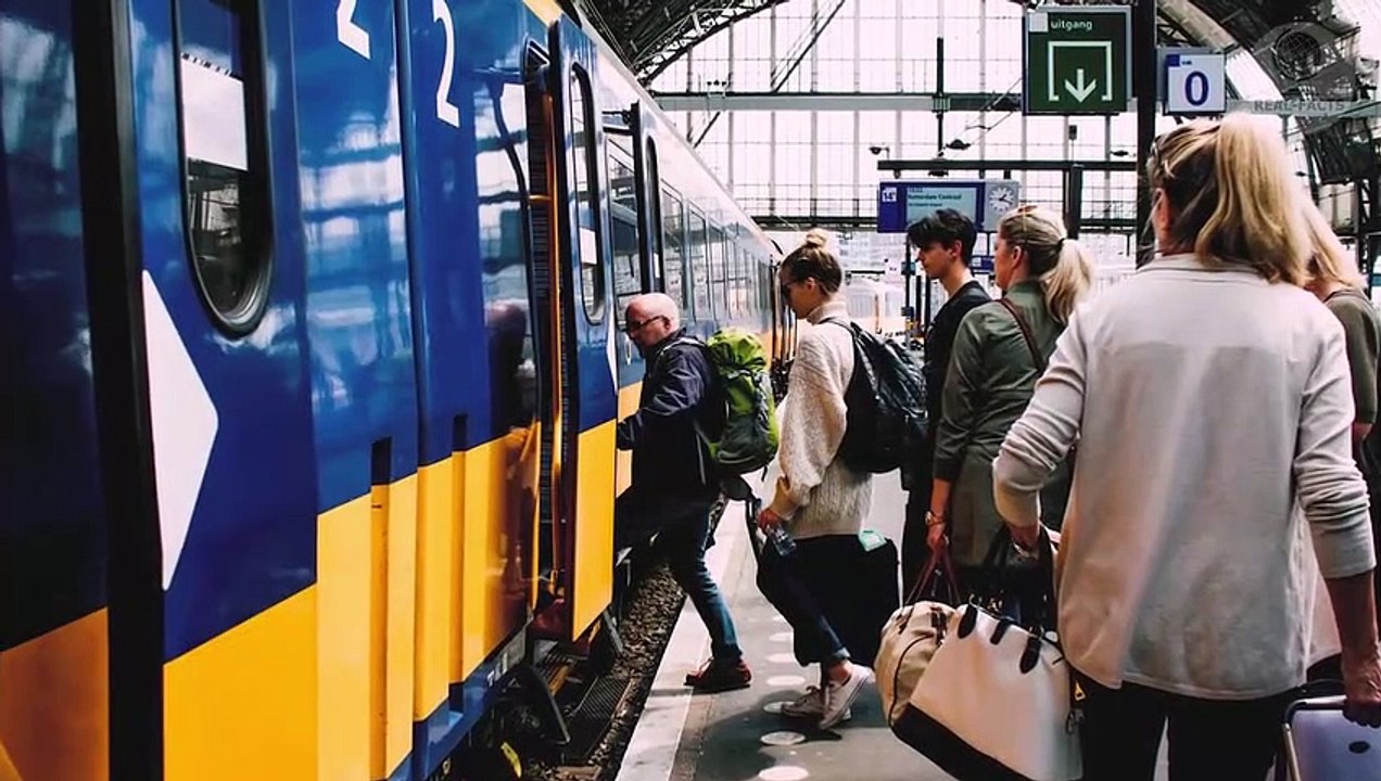 The dog and the cat were waiting for several years at the station for their owner who had left them