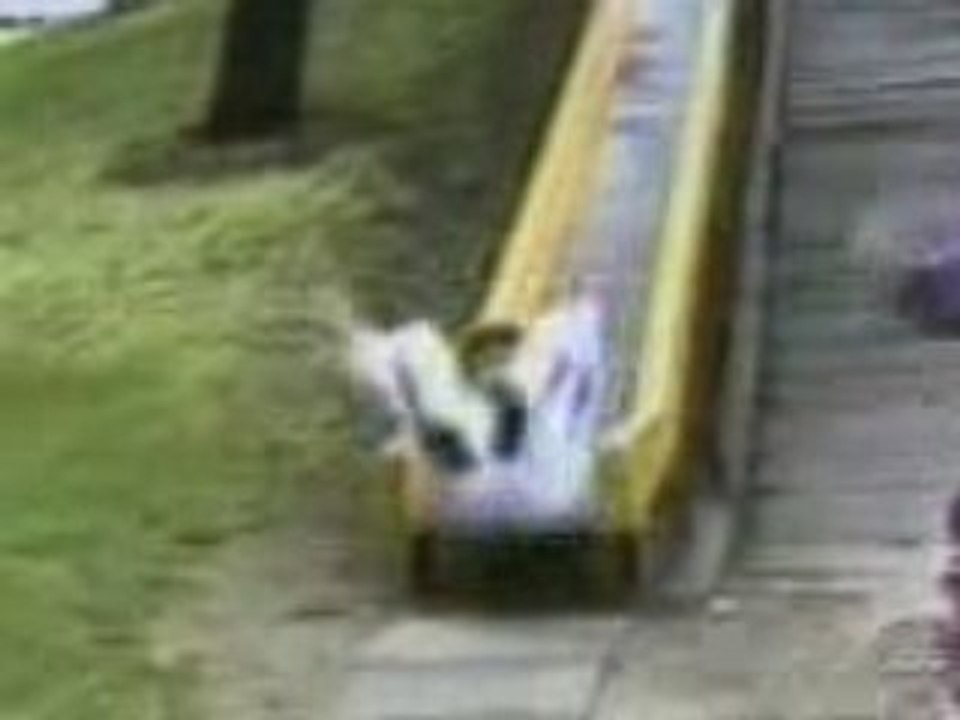 Funny Falls