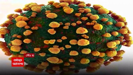 Omicron New Variant: 'নতুন প্রজাতি নিয়ে নিশ্চিত ধারণা নেই', সাবধানবাণী চিকিৎসকের। Bangla News