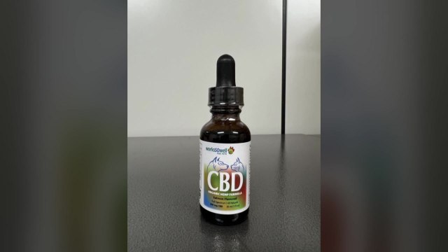 '마약 성분' 반려동물용 오일 건강보조제로 속여 판 업체 적발 / YTN