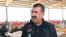 Kurbanda küçükbaş rekor kıracak