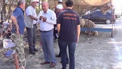 GAZİANTEP - İslahiye'de kurulan pazarlarda kurbanlık satışları başladı
