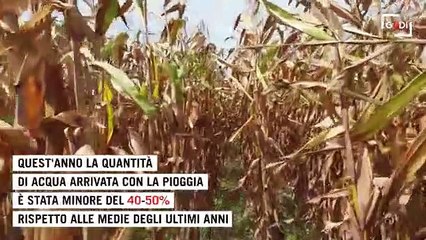 Download Video: Emergenza idrica, nove azioni quotidiane per risparmiare acqua