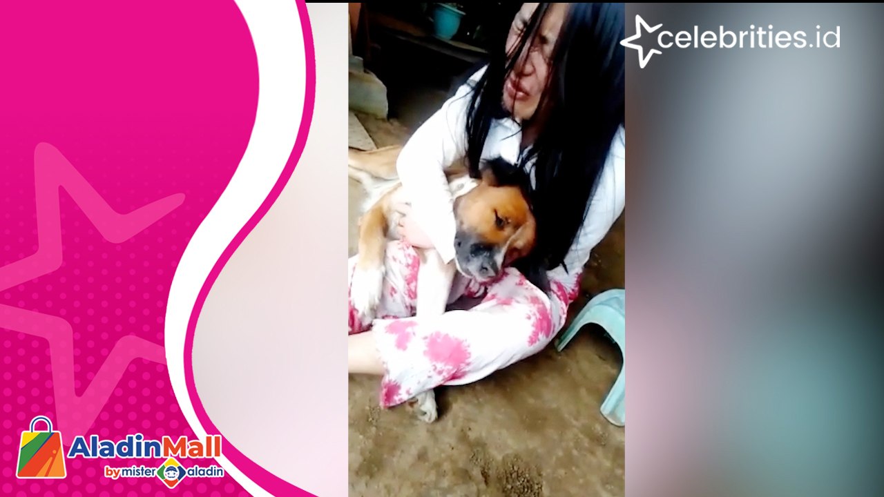 Viral, Wanita di Manado Menangis Histeris Ditinggal Mati Anjing Kesayangannya