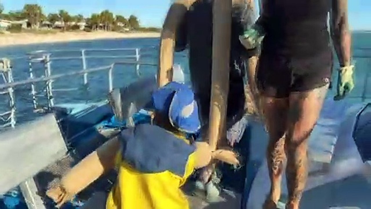 Indigenous rangers and community volunteers have joined forces with scientists to restore seagrass beds off the Western Australia coast
