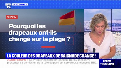 Pourquoi les drapeaux ont-ils changé sur la plage ? BFMTV répond à vos questions