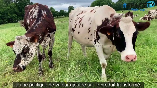 La Ferme de Merval (76) : 9 actifs avec 115 vaches laitières sur 117 ha