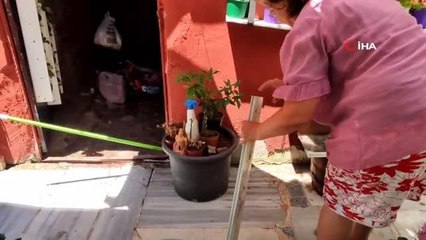 Bahçede görülen yavru yılan ev sahibine büyük panik yaşattı