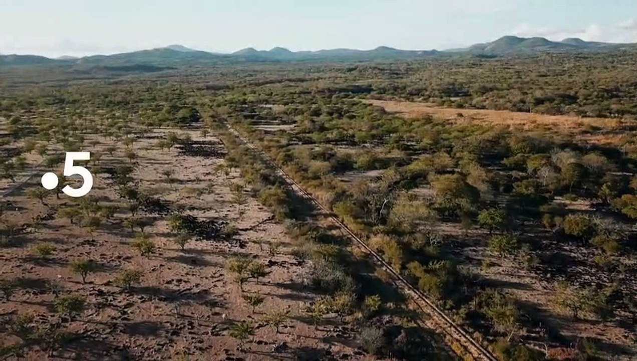 "Des trains pas comme les autres" : La bande-annonce de la saison 12