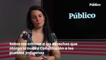 Manuela Royo: Sobre las críticas de sectores de la derecha y el centroizquierda a los derechos que otorga la nueva Constitución a los pueblos indígenas