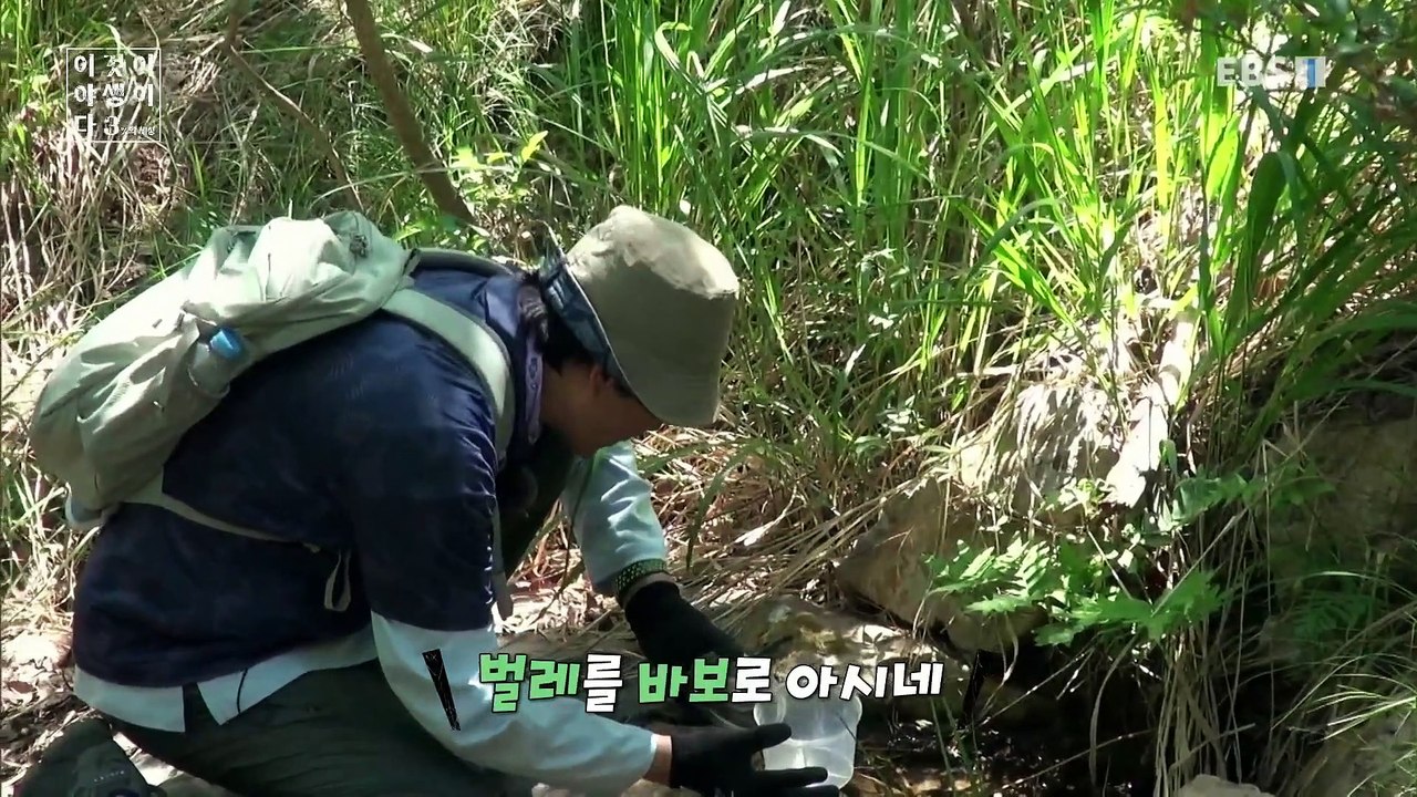 이것이 야생이다 3 - 식충식물의 사냥법_#002
