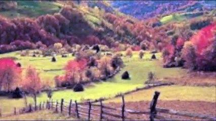 Puiu Nastase -colaj melodii Ardeal