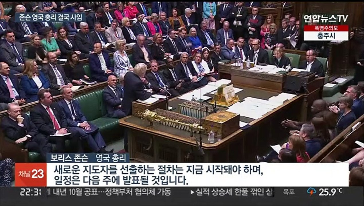 존슨 영국 총리 결국 퇴진…"가을에 새 총리 취임"