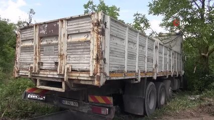 Virajı dönen kamyon önce duvarlara çarptı, ardından ağaçlık alana girerek durabildi