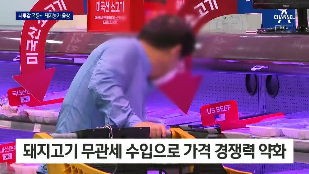 2배 사룟값에 울고, 반값 수입고기에 울고…축산농가 시름