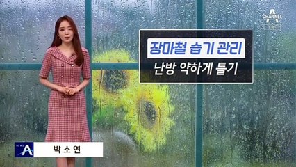 [날씨]오늘밤 중부·호남 강한 비…내일 남부로 확대