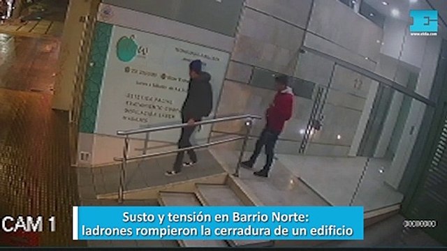 Susto y tensión en Barrio Norte, ladrones rompieron la cerradura de un edificio