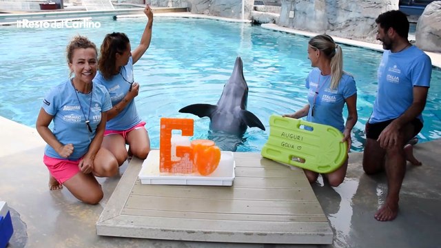 Oltremare Rimini, il video del delfino Golia che compie 29 anni