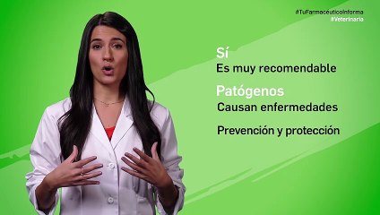 ¿Debo vacunar a mi mascota? Tu Farmacéutico Informa