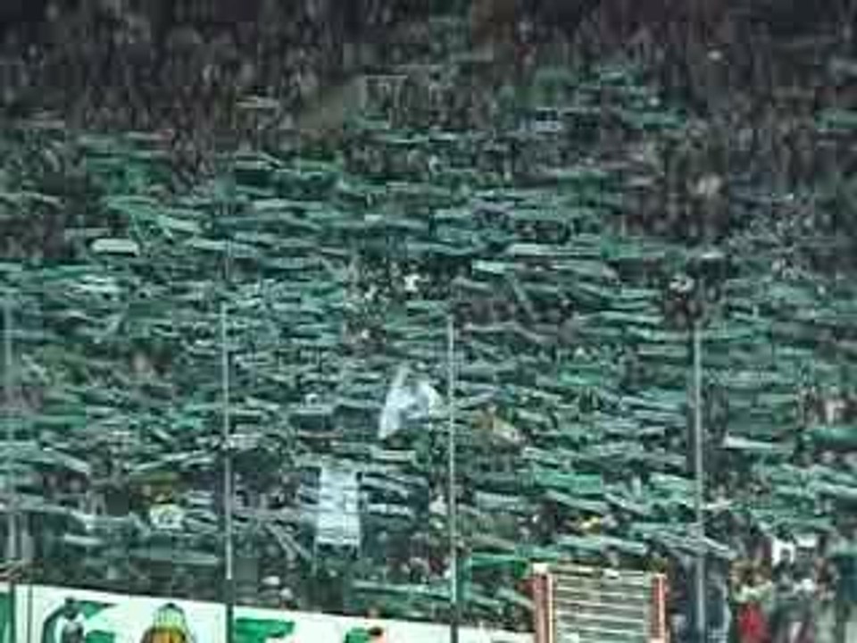 GREEN ANGELS