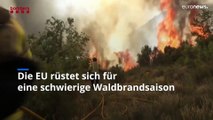 In Europa wächst die Gefahr katastrophaler Waldbrände