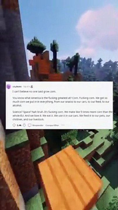 What does America do better than Europe?