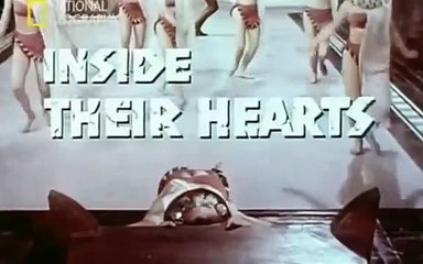 Las ciudades perdidas de la Biblia