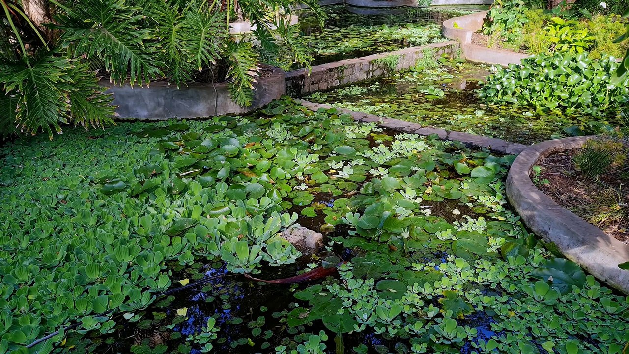 Relaxing  Music Celtic Music  Relaxation Flute Music Irish Folk  Green Scenery  Drone Footage