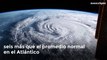 ‘Colin’, ‘Danielle’ y otras tormentas que se formarían en la temporada de huracanes del Atlántico