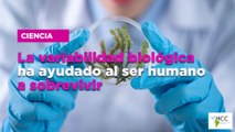 La variabilidad biológica ha ayudado al ser humano a sobrevivir