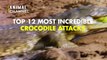 Top 12 Most Deadly Crocodile Attacks - Crocodile vs Lion, Warthog, Wildebeest, Bats & other Animals