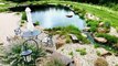 Natural Swimming Pools Are the Charming, Chemical-Free Alternative to Chlorine Pools