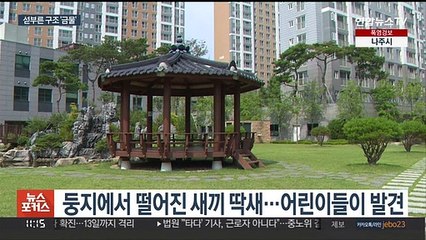 길 잃은 새 섣부른 구조 금물…"자생능력 잃게 돼"