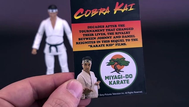 Diamond Select Toys Cobra Kai Daniel Larusso VHS SDCC 2022 Exclusive Figure Review