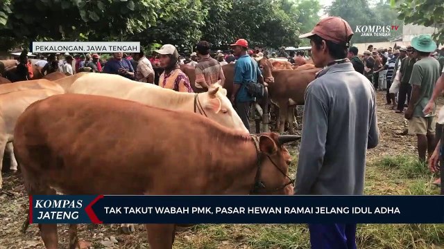Tak Takut Wabah PMK, Pasar Hewan di Pekalongan Ramai Jelang Idul Adha