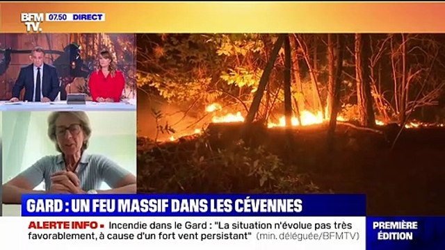 Gard: La préfète va prendre un arrêté interdisant les feux d'artifice, indique la ministre Caroline Cayeux
