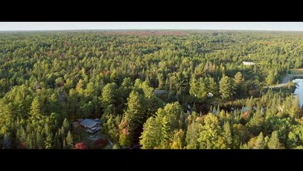 'The Breach' - Tráiler oficial