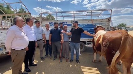 Kurbansız bayram: Vatandaşta para yok, kurbanlar elde kaldı