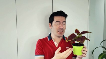 Como ser CONSTANTE y DISCIPLINADO - MIS TIPS Y CONSEJOS PARA CONSEGUIR TUS PROPÓSITOS EN LA VIDA