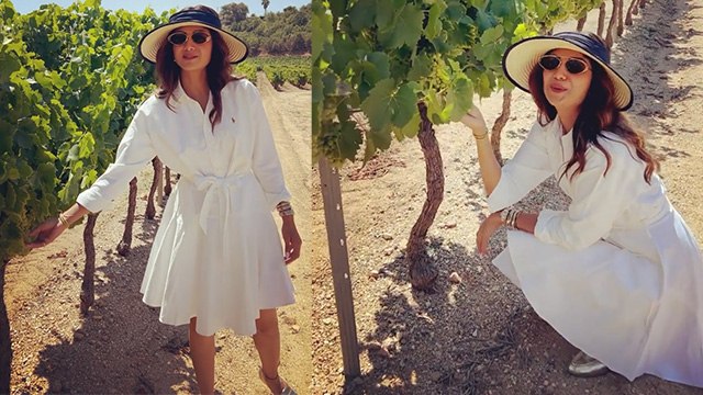Shilpa Shetty का Grapes Vineyard का Video Troll,कहा-ये तो कभी बुड्ढी..। Boldsky *Entertainment