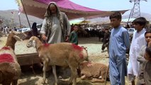 الأفغان يستعدون لعيد الأضحى رغم الصعوبات الاقتصادية