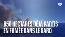 Les images du méga feu dans le Gard qui a déjà ravagé 650 hectares de végétation