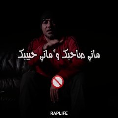 Ferid: Key Insights and Highlights