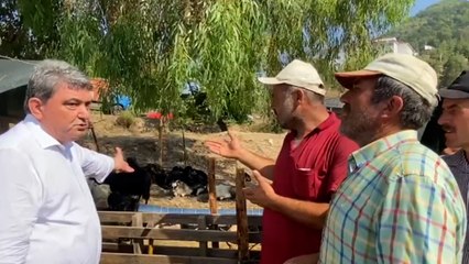 CHP’li Gökçel: Kurban pazarında dişi hayvanlar satılıyor