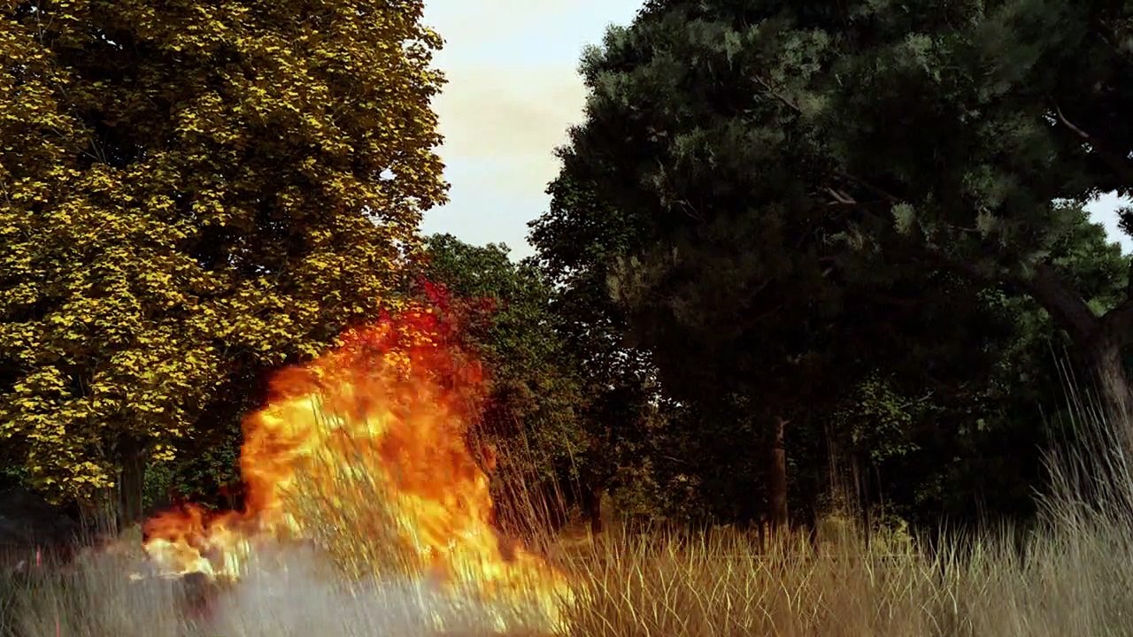 Combattre les feux de forêt