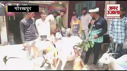 VIDEO: गोरखपुर में बकरीद के लिए सजकर तैयार हुआ बाजार