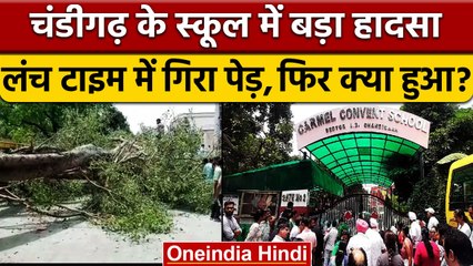 Chandigarh में हादसा, स्कूल में बच्चों पर गिरा पेड़, 1 की मौत, कई घायल | वनइंडिया हिंदी | *News
