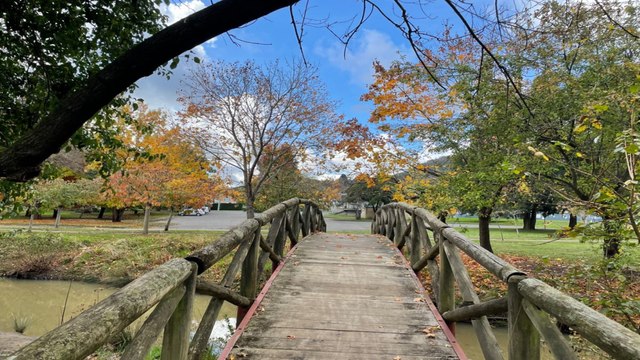 Real estate agent Angus Campbell-Jones, Bowral NSW - July 8, 2022 - Southern Highlands News