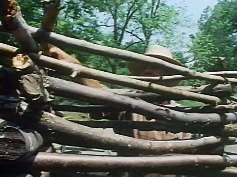 PBS NOVA - The Bridge that Spanned the World